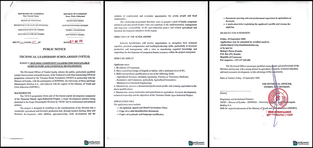 VICEF Technical Leadership Scholarship